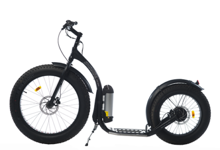 Elektrische Fat Max steps