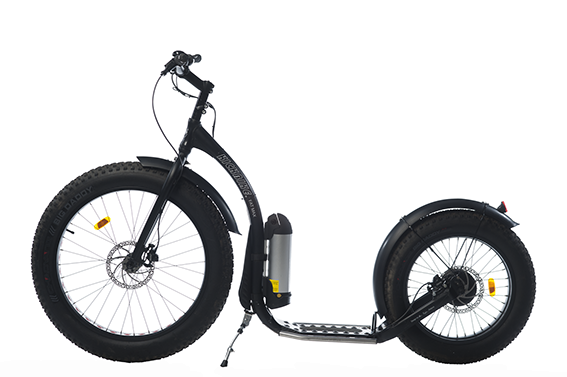 Elektrische Fat Max steps